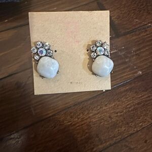 Chic Silver and White Stone Earrings